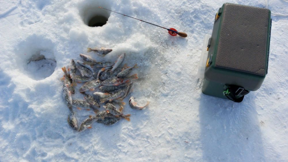 Классная рыбалка на р.Исеть в середине зимы #NIK_72 смотреть онлайн