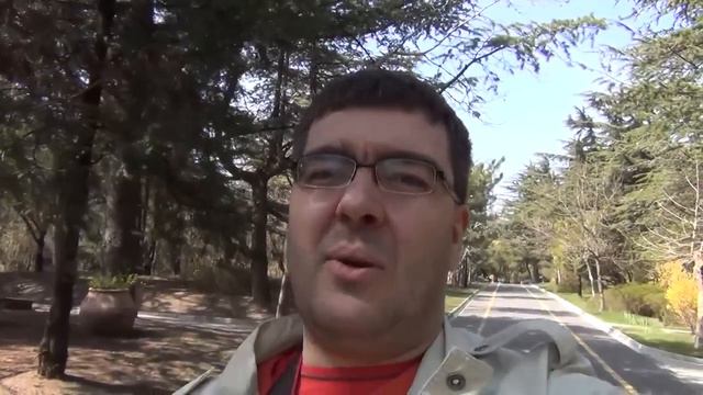 РУССКИЕ ТУРИСТЫ О ГРУЗИИ смотреть онлайн