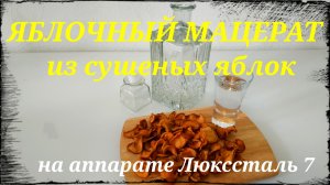 Яблочный мацерат из сушеных яблок. Мацерация на аппарате Люкссталь 7.