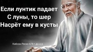 Мудрые Цитаты Кабсон Реско Прислушайся К Ним Пока Не Поздно