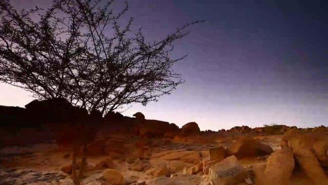 Марина Верналис - Стучащему откроется. Читает Владислав Витковский смотреть онлайн