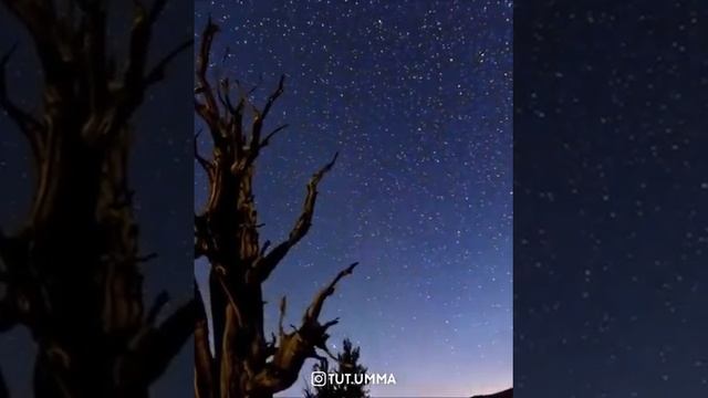 Кто важнее МАМА или ЖЕНА смотреть онлайн