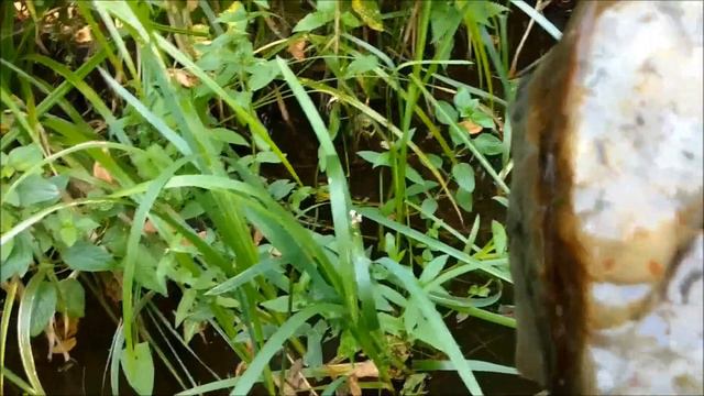 Очарование малых рек. Украина смотреть онлайн