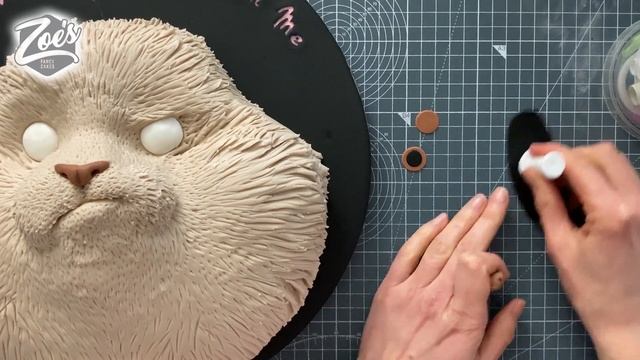 Grumpy Cat Cake Tutorial