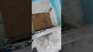 Замена транцевой доски. Усиление транца.#1.