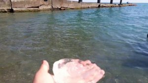 Катаемся на сапах в Сочи.  Сапсерфинг на Черном море.