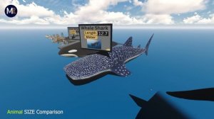 Animal Size Comparison (Smallest to Monster Animals) 🐘 🦁🐅