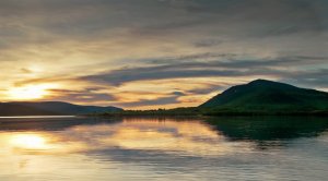 185.Трофеи 41.mp4