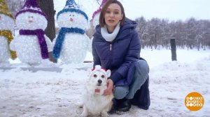 Если собака боится салюта. Доброе утро. Суббота. Фрагмент выпуска от 25.12.2021