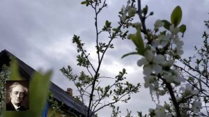 Первый лист. стихи. Тютчев Ф. И.