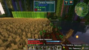 Lp. Тринадцать Огней #18 ПЕРВЫЙ ДИАЛОГ • Майнкрафт