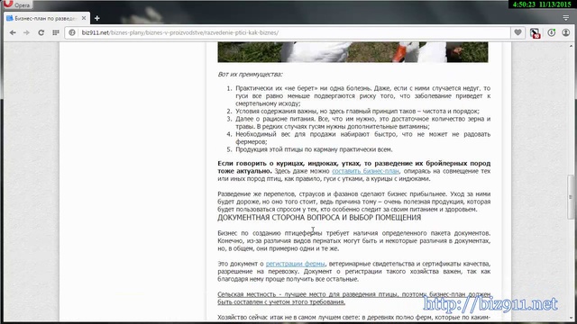 Бизнес-план разведения птицы