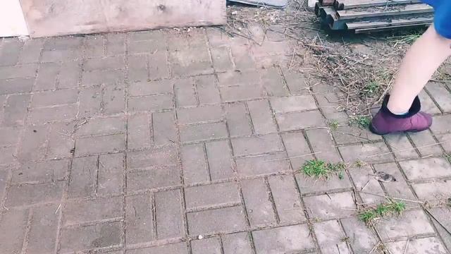 Комментаторы! Что делают женщины в отсутствии Мужчин?