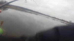 ЩУКА НА ДЖИГ!!! Ловля щуки в НОЯБРЕ!!! КАК ПОЙМАТЬ ЩУКУ В НОЯБРЕ !!!