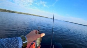 НА ЧТО ЛОВИТЬ ЕСЛИ НЕ КЛЮЁТ?! ТЕСТ СПИННИНГА ОТ CF Arion ASRE832LS!