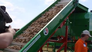 машина фасовки картофеля и овощей