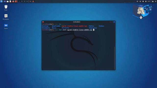 How to install Ngrok