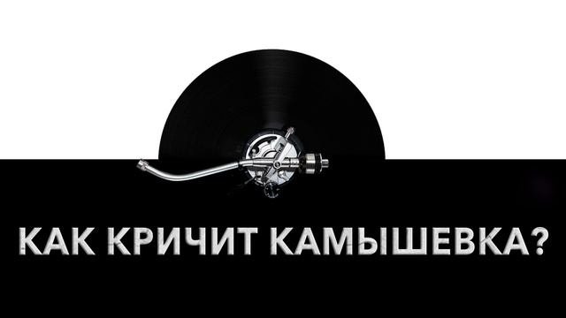 Как кричит камышевка? ?️ Звук кричащей камышевки и какие звуки издает камышевка