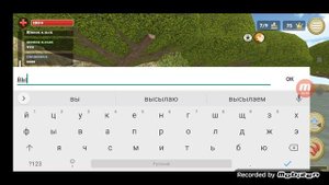 играю в симулятор белки 2 онлайн