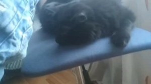 КАК ПОЛУЧИТЬ КАЙФ  ничего не принимая