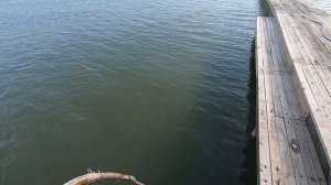 Рыбалка в Скурчинском заповеднике в Абхазии. Озеро Скурча. Красивая природа Абхазии 2023