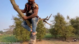 Must Watch Bank Robbery || New Funny Comedy Video 2023 || Bindas Fun Nonstop