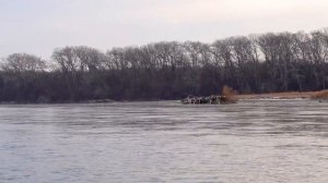 Красивые зимние пейзажи   природа зимой, на берегу реки красивое видео