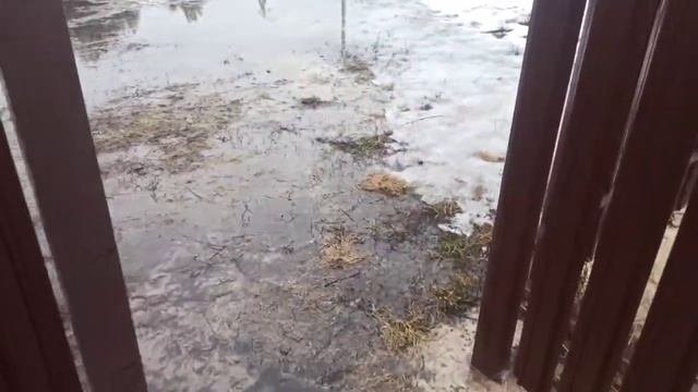 Весеннее половодье 🏄♂️