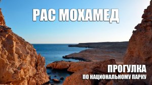Прогулка по национальному парку Рас Мохамед