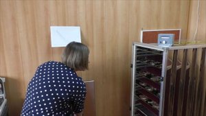 Вяленая рыба. Простой рецепт и способ. Вялим окуня 20 часов в сушильном шкафу и готово! Дегидратор