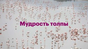 Мудрость толпы