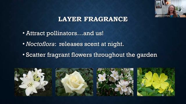 Moonlight Gardens Webinar Recording смотреть онлайн