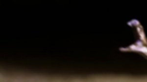 Вот Почему Королевская Кобра Ненавидит Других Змей