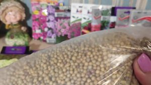 Когда сеять петунию? Удобрение Осмокот для подкормки горшечных культур.
