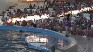 Анапский Дельфинарий. Шоу программа! Плавание с белым китом и дельфинами!