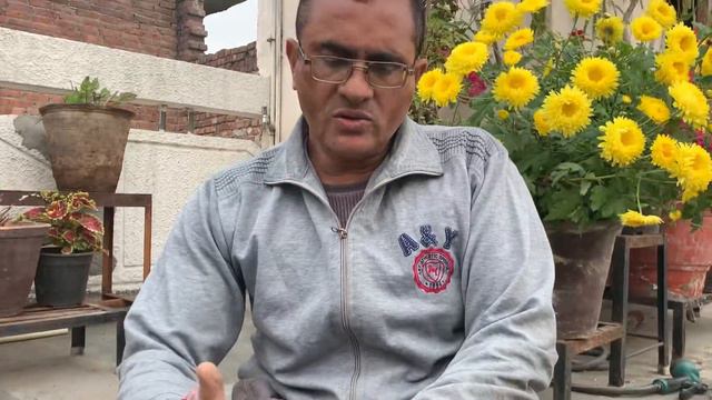 पेटुनिया से हज़ारो फूल कैसे पाएँ।Petunia flower with complete care tips #petunia #flowers #flower смотреть онлайн