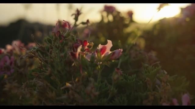 сколько нужно спать, чтобы выспаться? смотреть онлайн