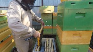 Мой способ зимовки на ульях Нижегородец