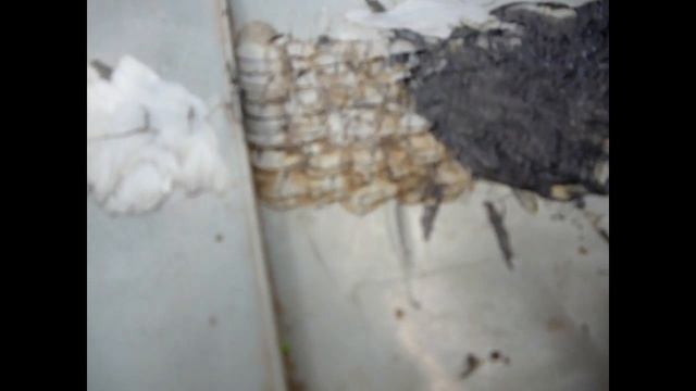 Качественная пайка пластика своими руками Honda Dio 27 смотреть онлайн