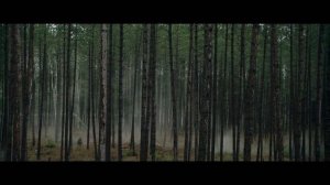 Бесшумный-2020(Triller)