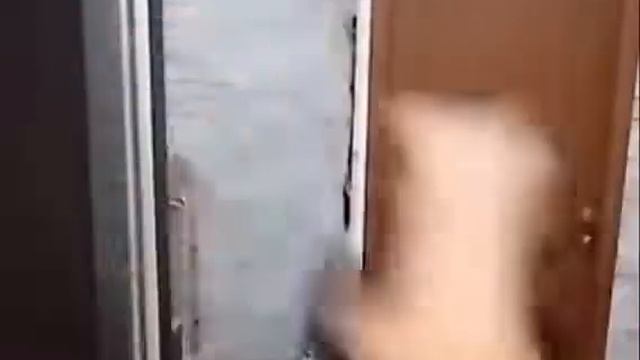 хочешь жить умей вертеться