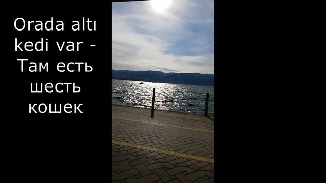 Урок 6. Турецкий язык. Прилагательные. Слова Var, Yok смотреть онлайн