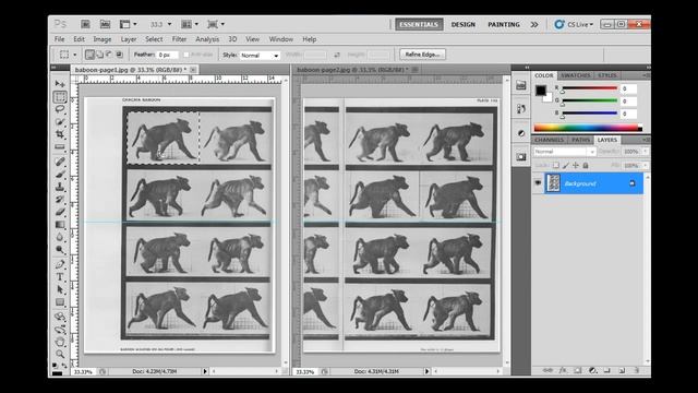 Layered Images to Motion Graphics in Photoshop CS5 - Part 1 смотреть онлайн