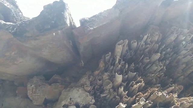 Камышовая крыша на доме в Покойном. смотреть онлайн