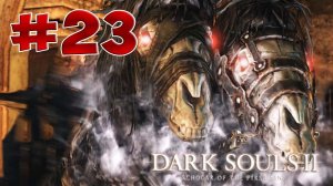 Dark Souls 2 SotFS - Полный Гайд. Прохождение, Секреты и ЛОР. Часть 23. Колесница Палача