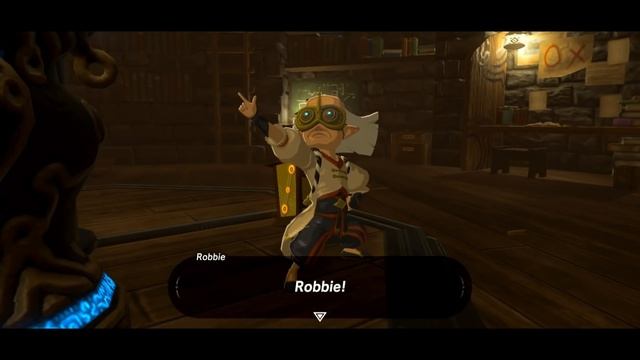 Kass: The Rito Bard - Lore and Origins (Legend of Zelda) смотреть онлайн