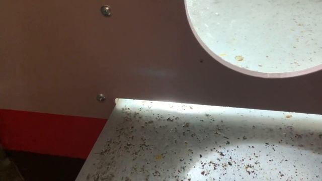 Термокамера Яранкина на пасеке