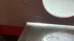 Термокамера Яранкина на пасеке