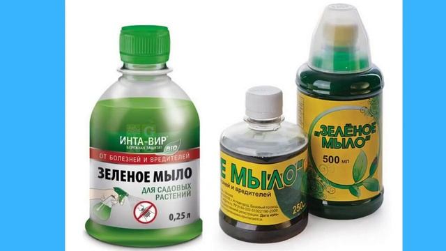 ТЛЯ БОИТСЯ ЭТОГО СИЛЬНЕЕ ОГНЯ! Супер Лучшее Средство от Тли Без Химии!#тля #сад #огород #муравьи смотреть онлайн