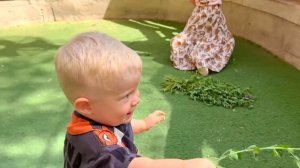 Диана, Рома и Оливер кормят животных в зоопарке